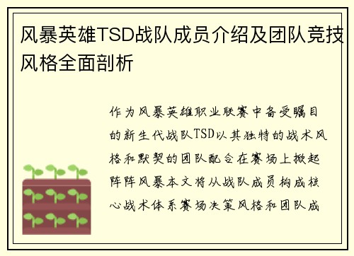 风暴英雄TSD战队成员介绍及团队竞技风格全面剖析